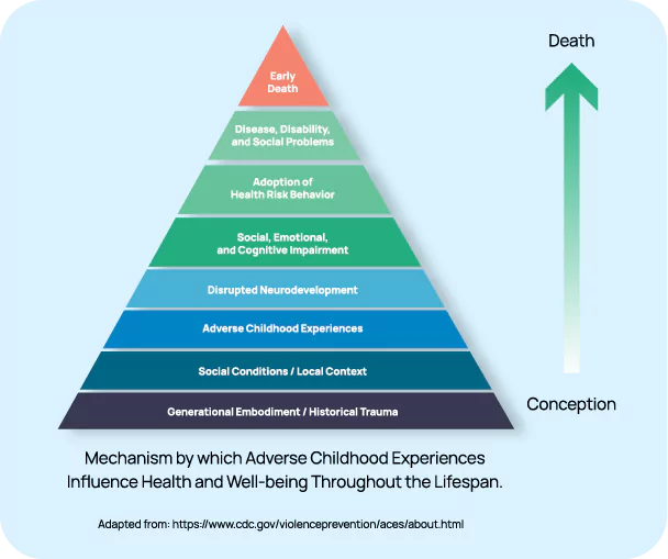 The ACEs pyramid helps us see the many ways that ACEs can shape our health and well-being over time.