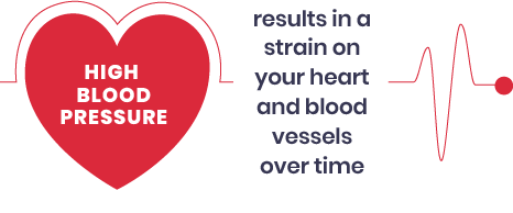 TheCardiovascular System.